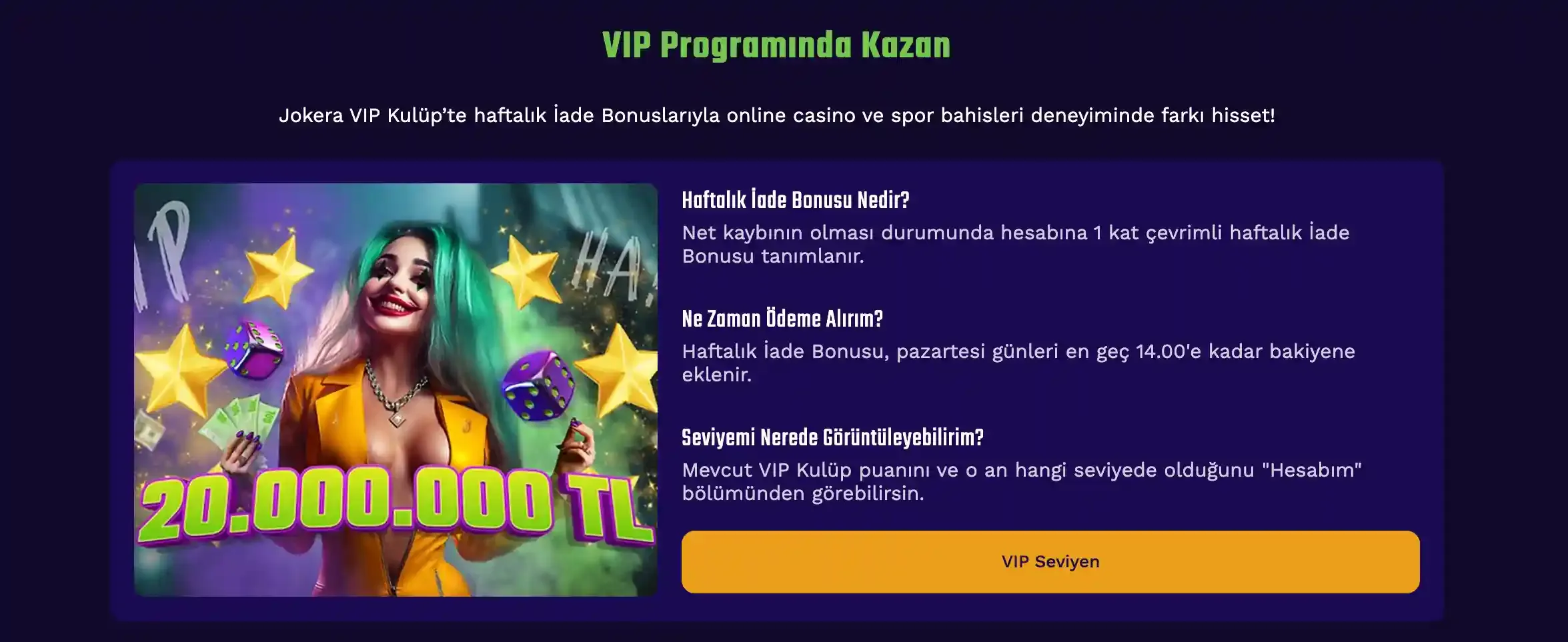 Jokera Resim 3